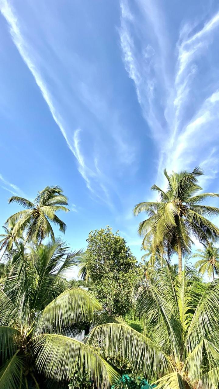 Bsg Stay - Turtle Beach Morjim Goa Exteriér fotografie